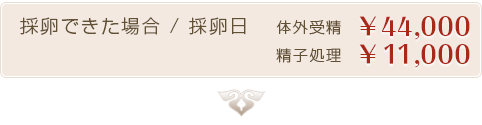 採卵できた場合 / 採卵日　体外受精0円　精子処理10000円