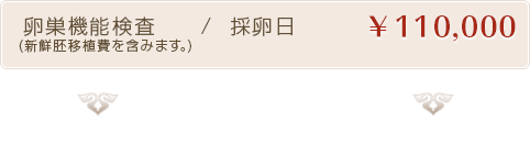 新鮮胚移植 / 胚移植日　80000円