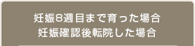 妊娠8週目まで育った場合妊娠確認後転院した場合